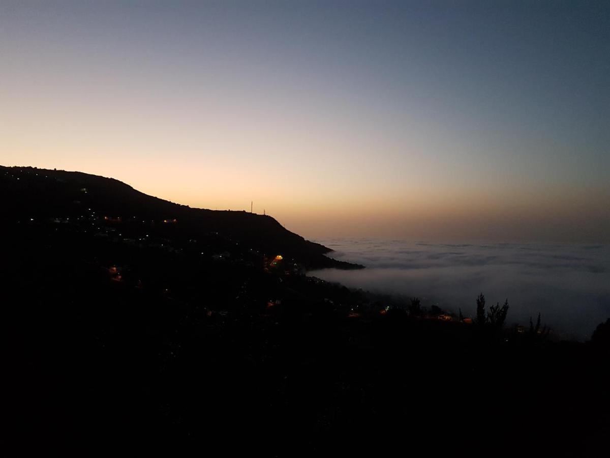 Finca Los Ciruelos Casas Rurales Icod De Los Vinos Esterno foto