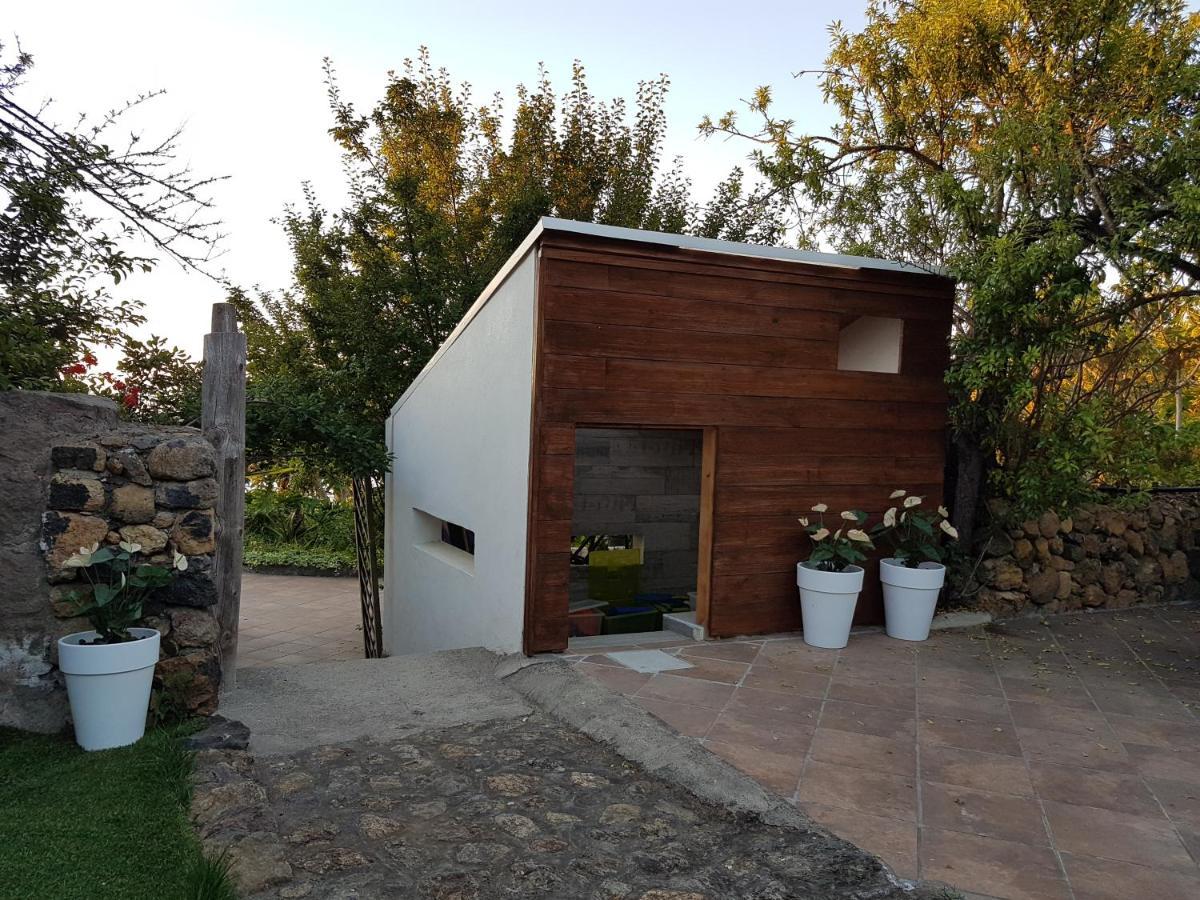 Finca Los Ciruelos Casas Rurales Icod De Los Vinos Esterno foto
