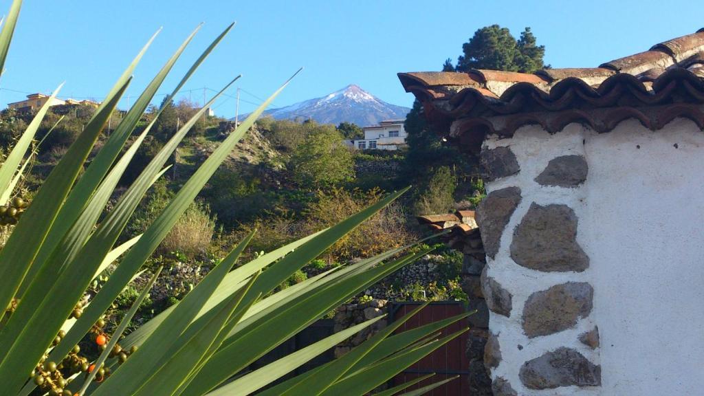 Finca Los Ciruelos Casas Rurales Icod De Los Vinos Esterno foto