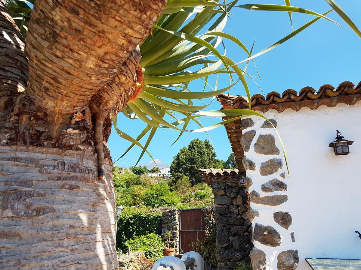 Finca Los Ciruelos Casas Rurales Icod De Los Vinos Esterno foto